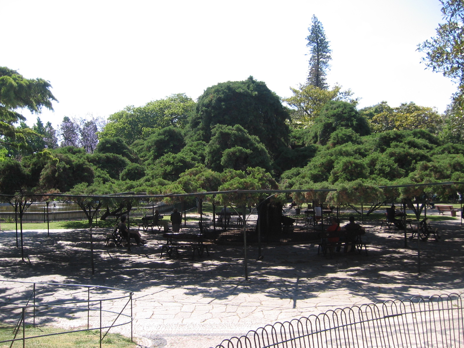 Jardim do Príncipe Real em Lisboa